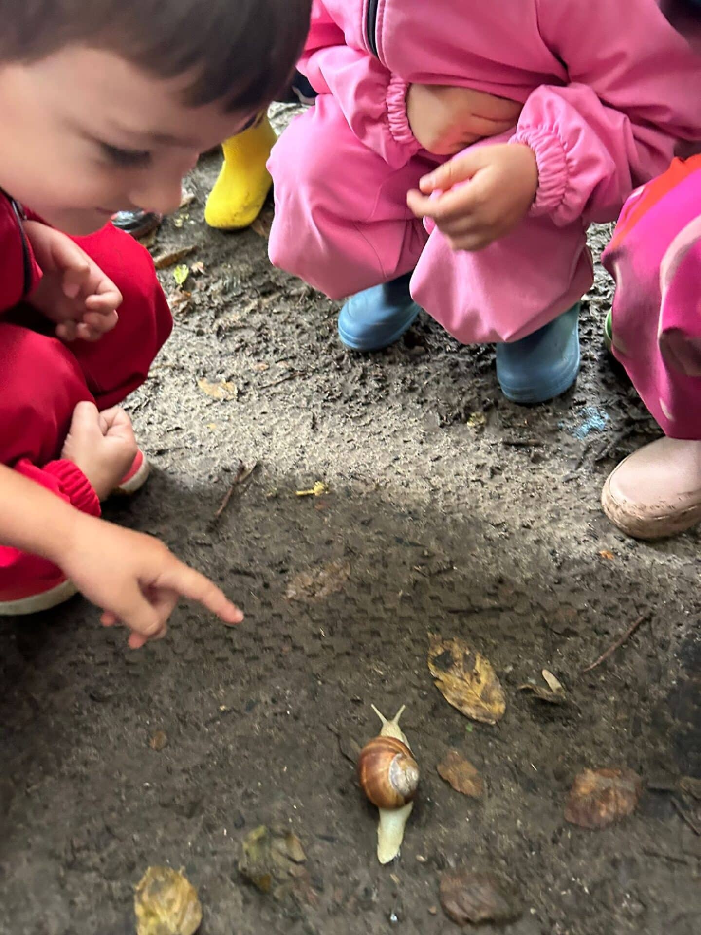 546599319_1441580377977535_8432465333465888780_n