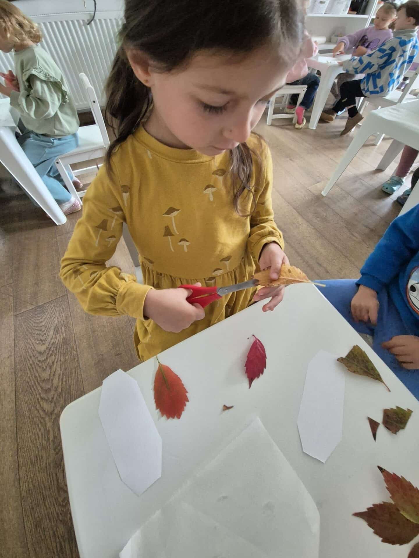 556224184_1462114582590781_8578055930567650996_n