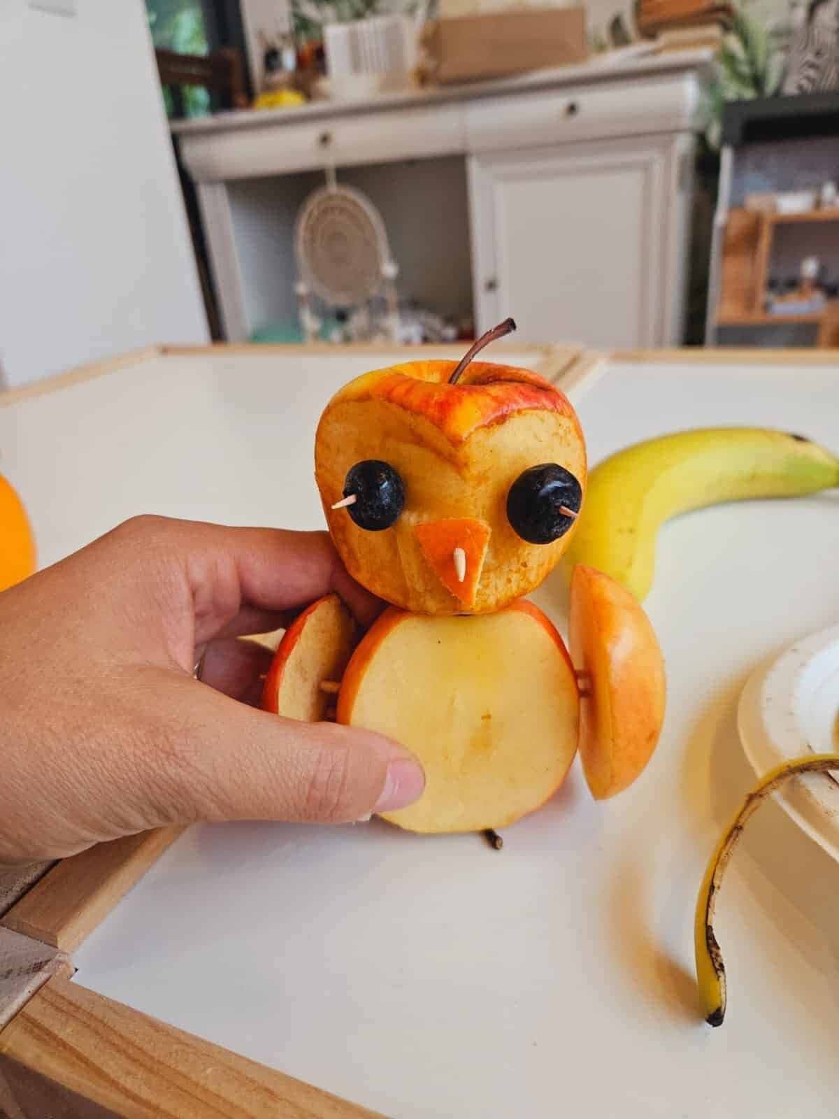 558968061_1469061608562745_8284678481089951472_n